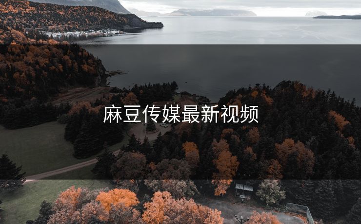 麻豆传媒最新视频 麻豆传媒最新视频