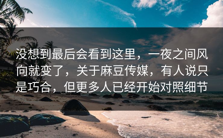 没想到最后会看到这里，一夜之间风向就变了，关于麻豆传媒，有人说只是巧合，但更多人已经开始对照细节